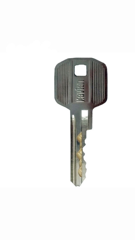 قفل برقی کله گاوی کاویان مدل p701